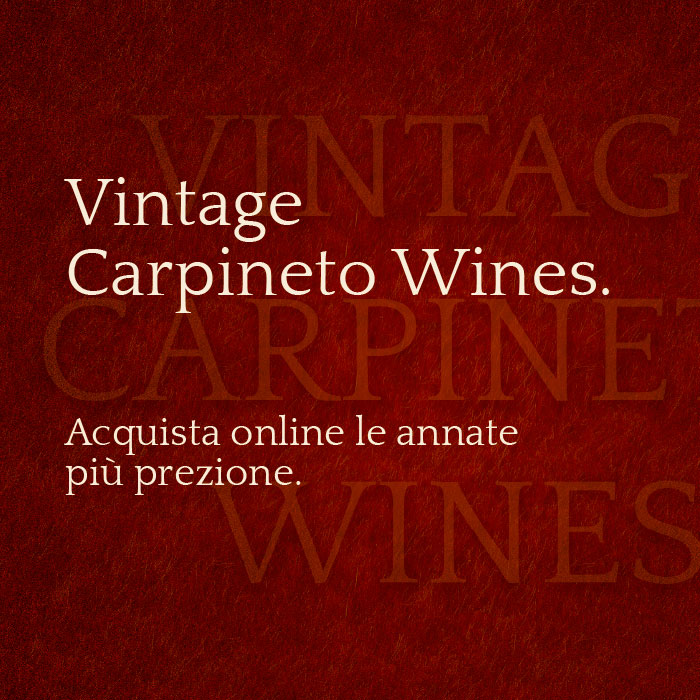 Carpineto Black Friday