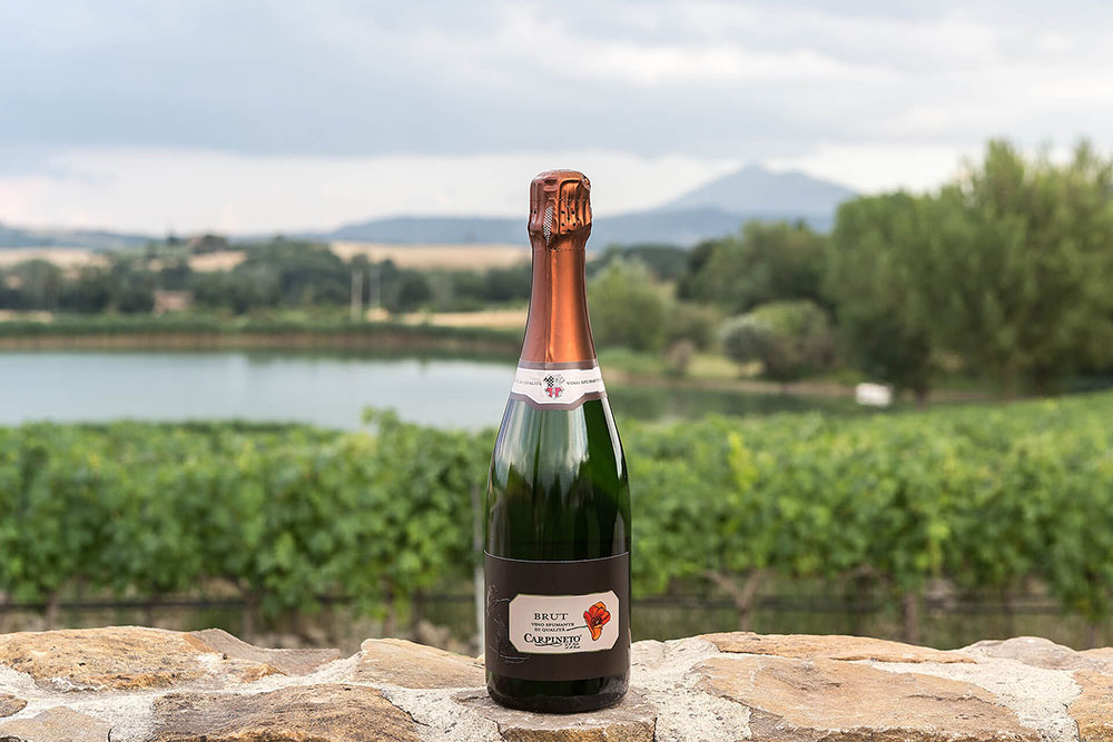 Note di degustazione: Spumante Brut