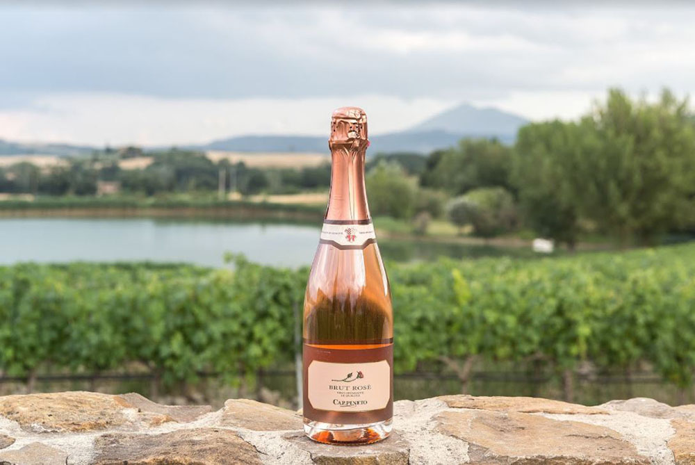 Alla scoperta del Rosato