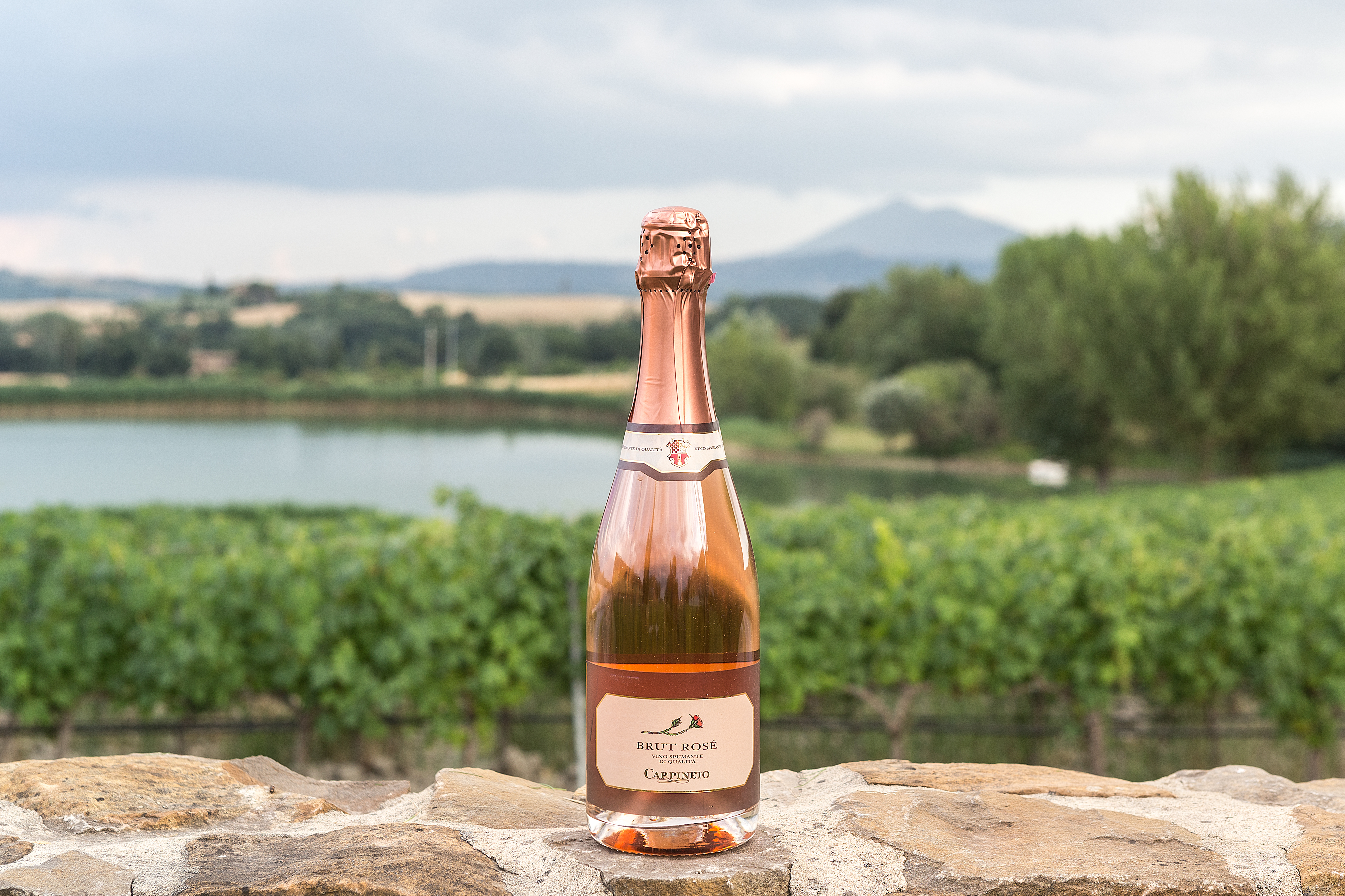 Menu per una cena romantica: cosa cucinare e quale bottiglia scegliere per una cena romantica
