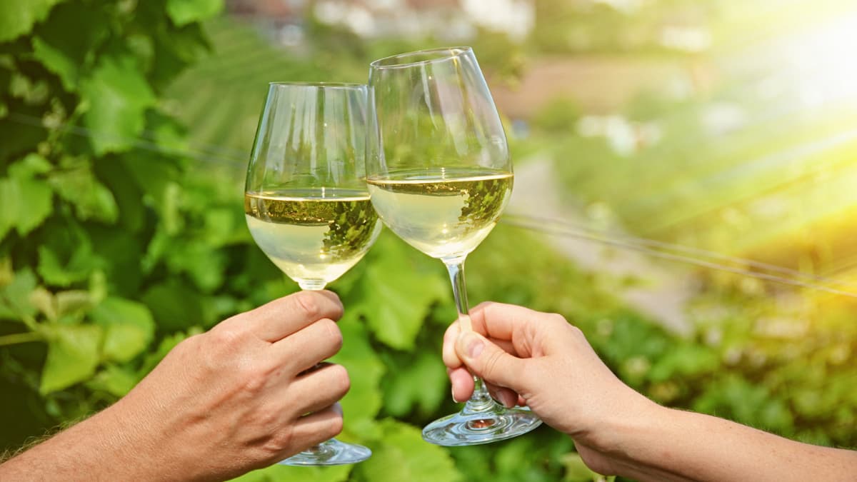 <p>Dal buio alla luce: 2 bianchi per brindare al Solstizio d'Estate</p>
