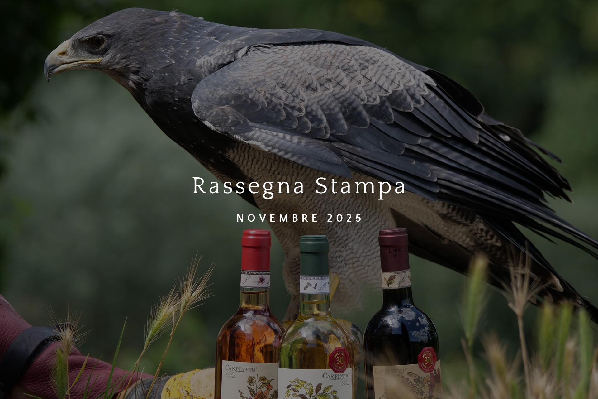 La rassegna stampa di novembre 2025
