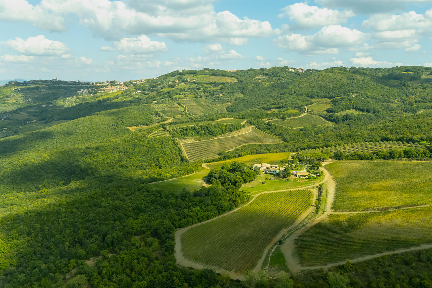 <p>Montalcino: a journey through the history and flavors of Carpineto&rsquo;s wines</p>
