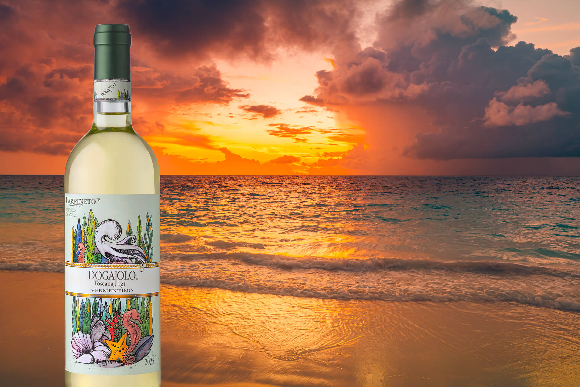 <p>Dogajolo Vermentino e Dogajolo Rosato: il piacere di un viaggio tra bianco e rosato&nbsp;</p>
