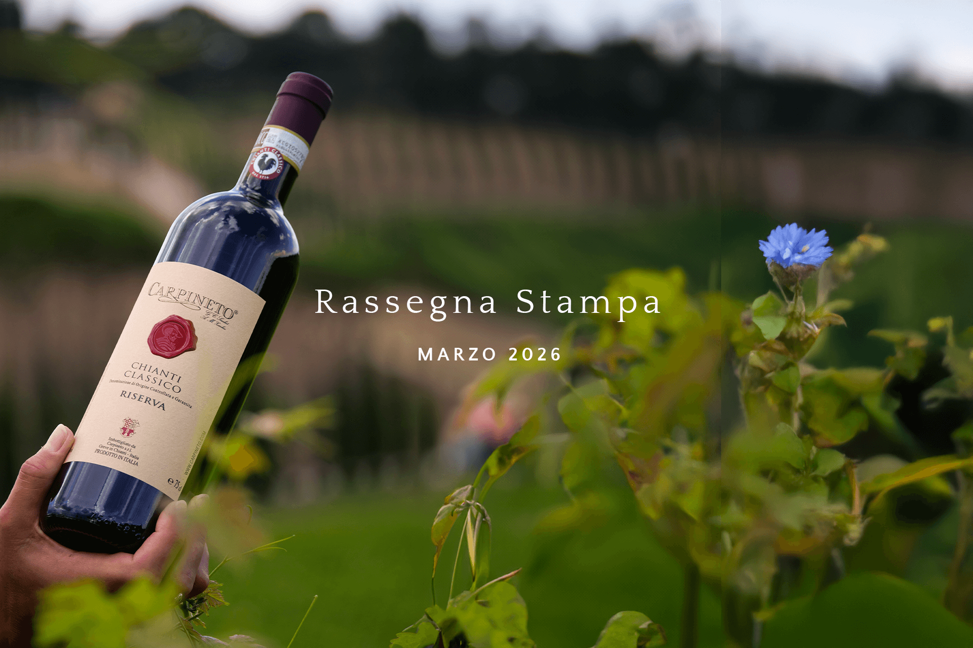 <p>La rassegna stampa di marzo 2026 | Carpineto</p>
