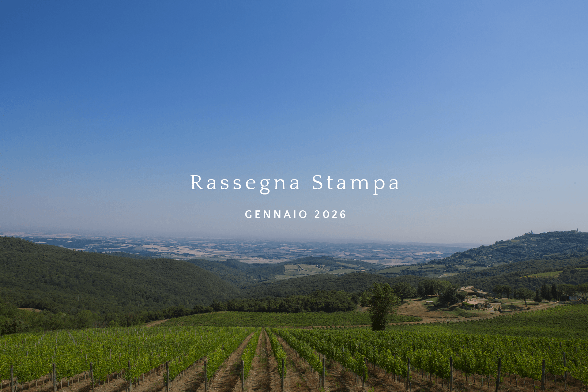 Rassegna stampa Carpineto &mdash; Gennaio 2026
