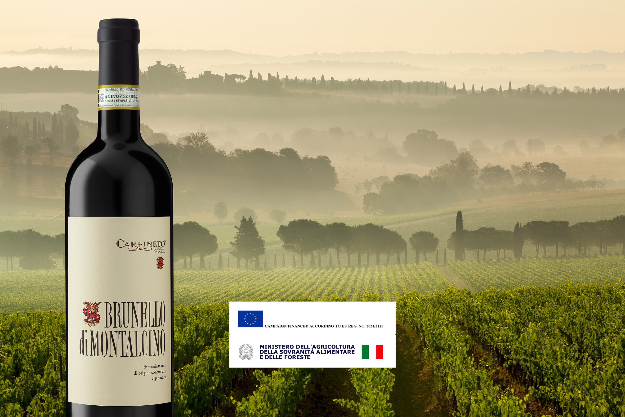 Copertina articolo: Brunello di Montalcino: What Makes It One of Italy’s Most Iconic Wines