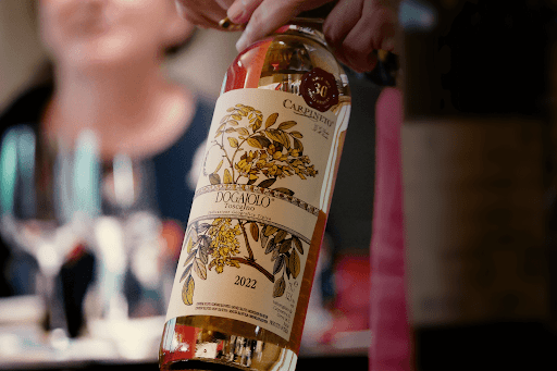 Come si degusta un vino? Guida pratica per principianti
