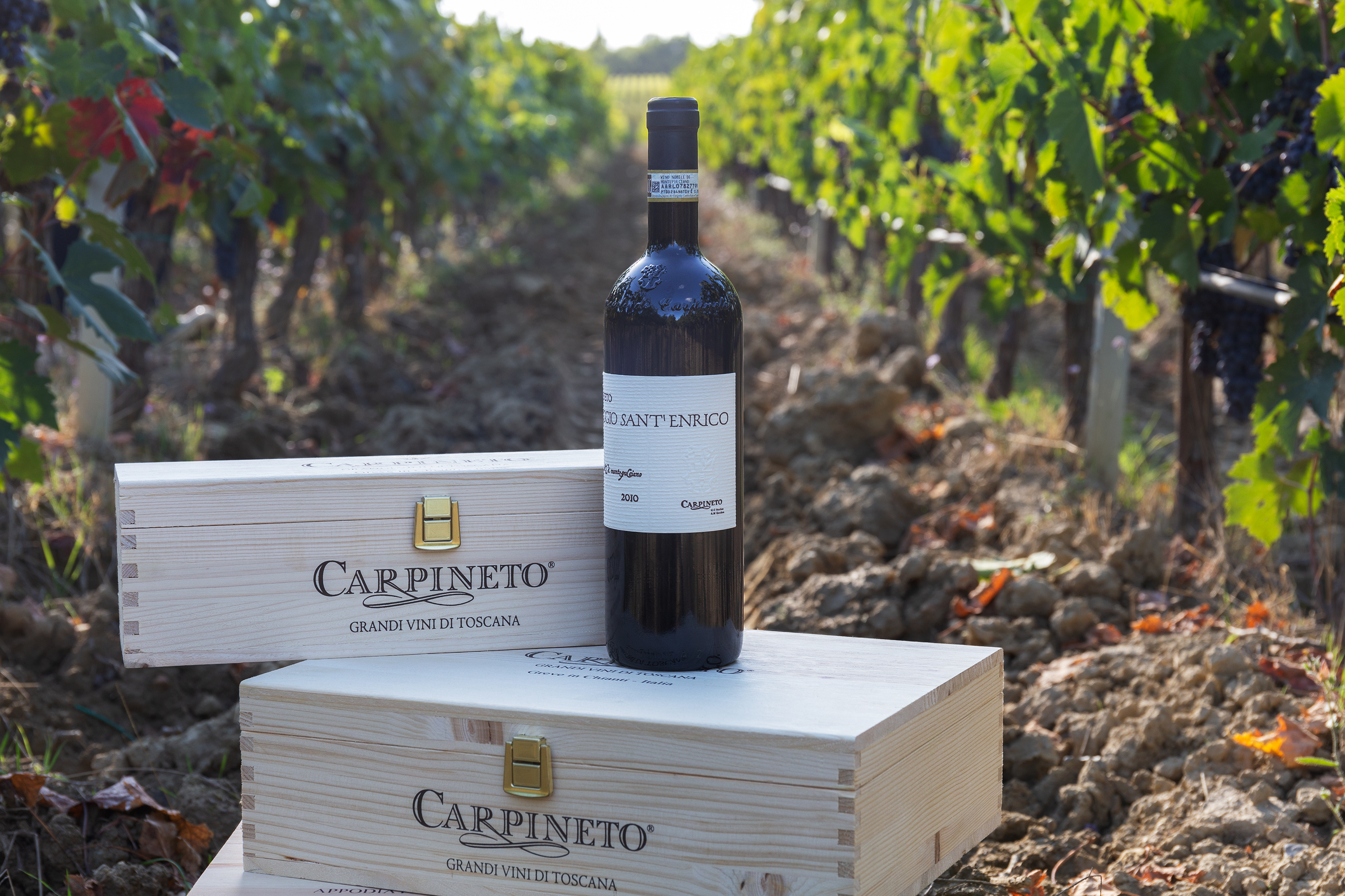 Tre vini per tre borghi: alla scoperta della Val di Chiana
