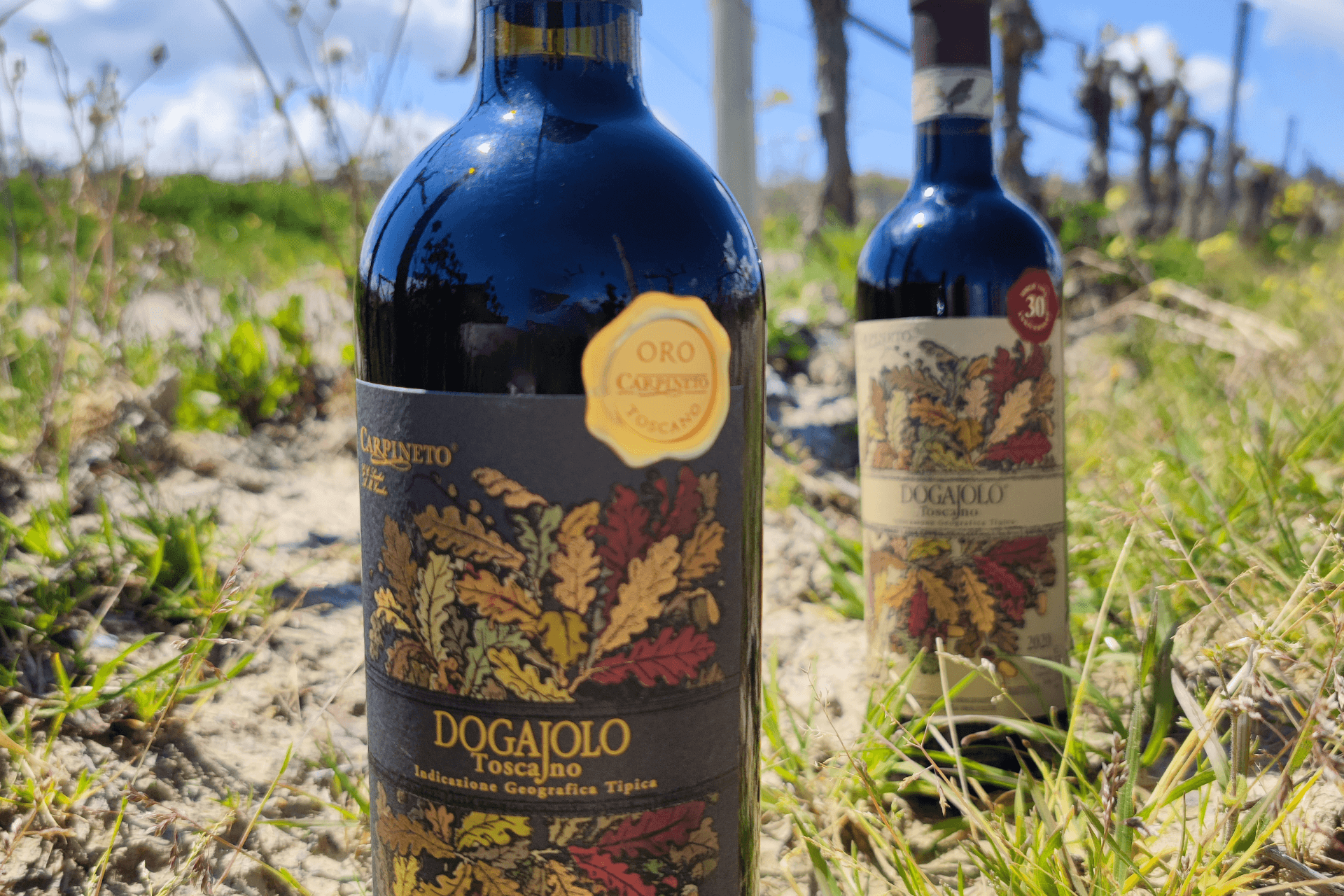 Trent’anni di Dogajolo Rosso: festeggiamo col Dogajolo Rosso Oro! 
