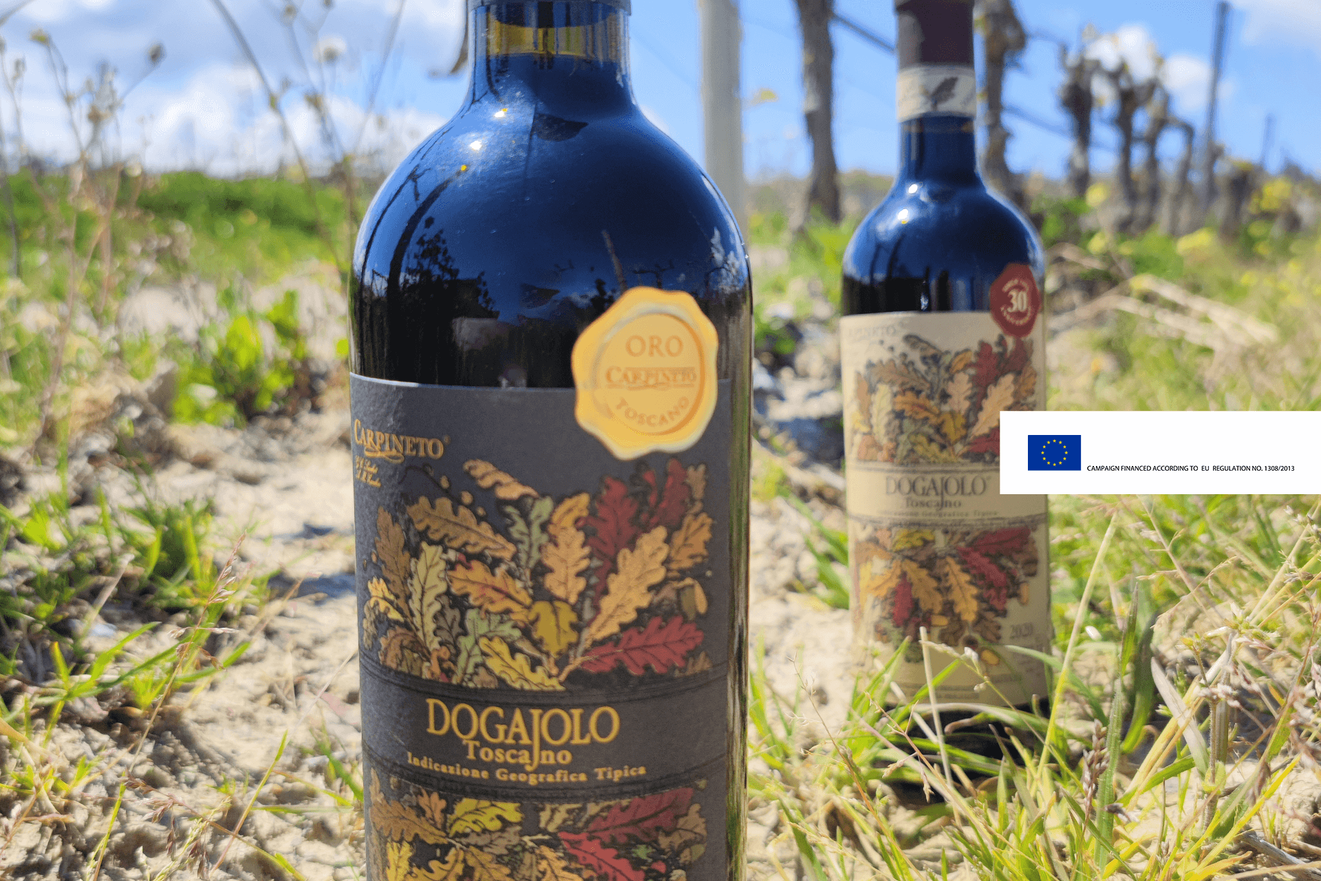 Thirty years of Dogajolo Rosso: let's celebrate with Dogajolo Rosso Oro! 
