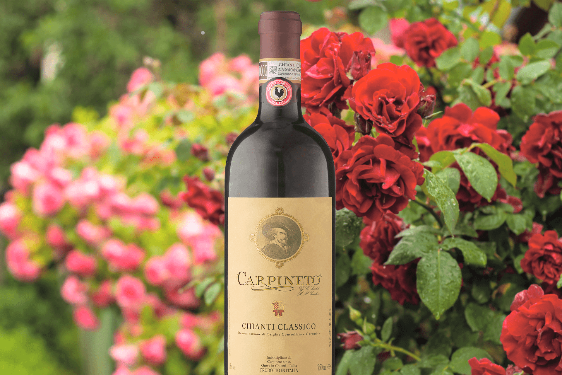 Maggio, il mese delle rose: tutti i profumi floreali del Chianti Classico
