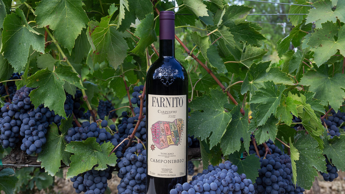 Vini d’autunno: l’elegante potenza del Farnito Camponibbio

