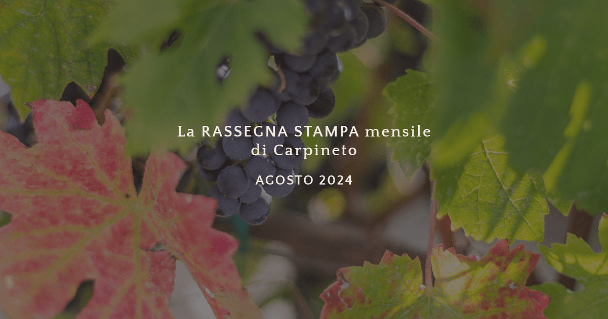 La rassegna stampa di agosto 2024
