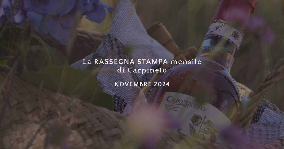 La rassegna stampa di novembre 2024
