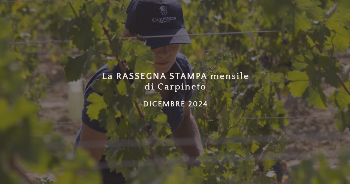 La rassegna stampa di dicembre 2024
