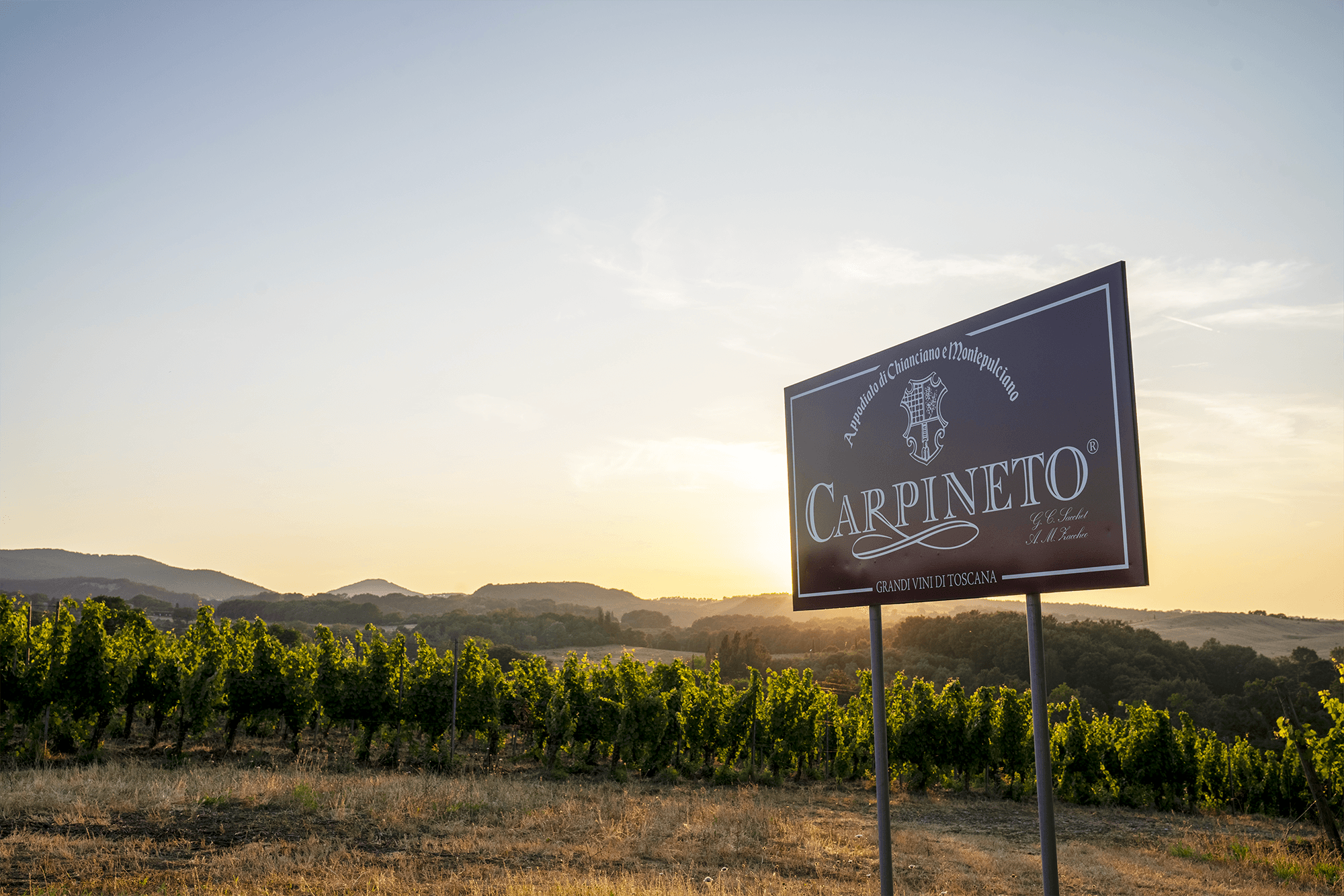 Scopri i Nuovi Vini Carpineto: Farnito Brut Ros&egrave; e Chianti Castaldo Riserva 2020

