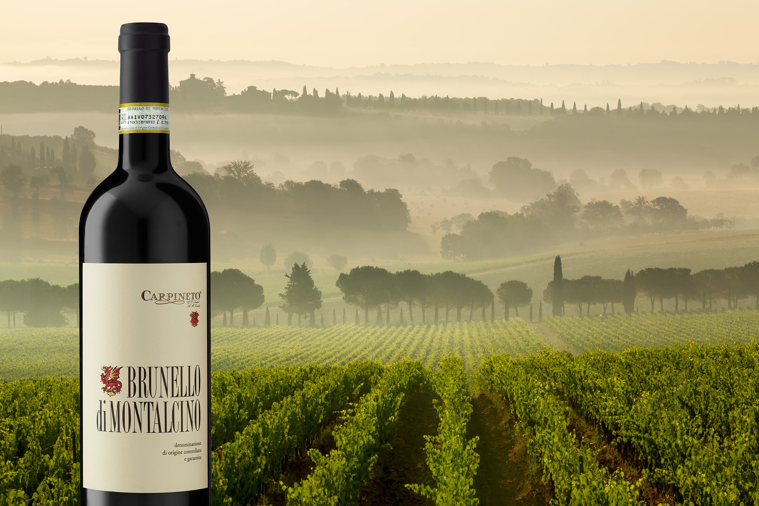Brunello di Montalcino: perché è uno dei vini italiani più iconici