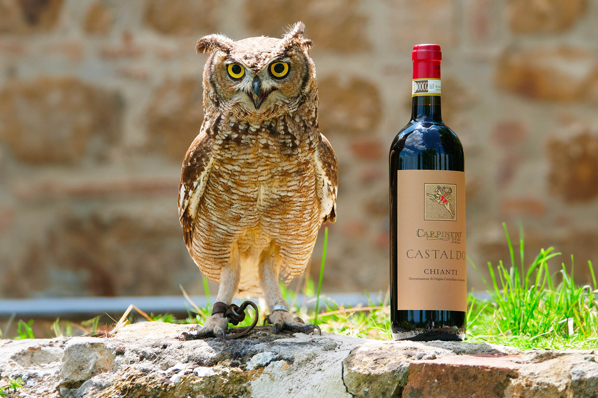 Note di Degustazione: Chianti Castaldo