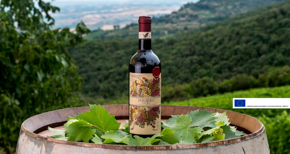 Super Tuscans to the rescue: young and versatile, Dogajolo Rosso wine wins everyone over.