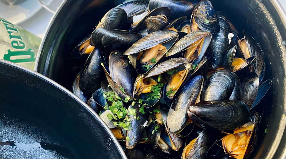 Profumo di mare e Dogajolo Bianco