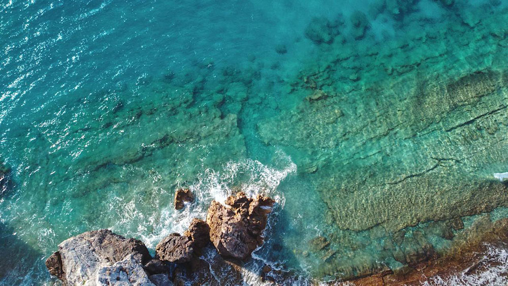 Giornata Europea del Mare: tre ricette tutte da gustare