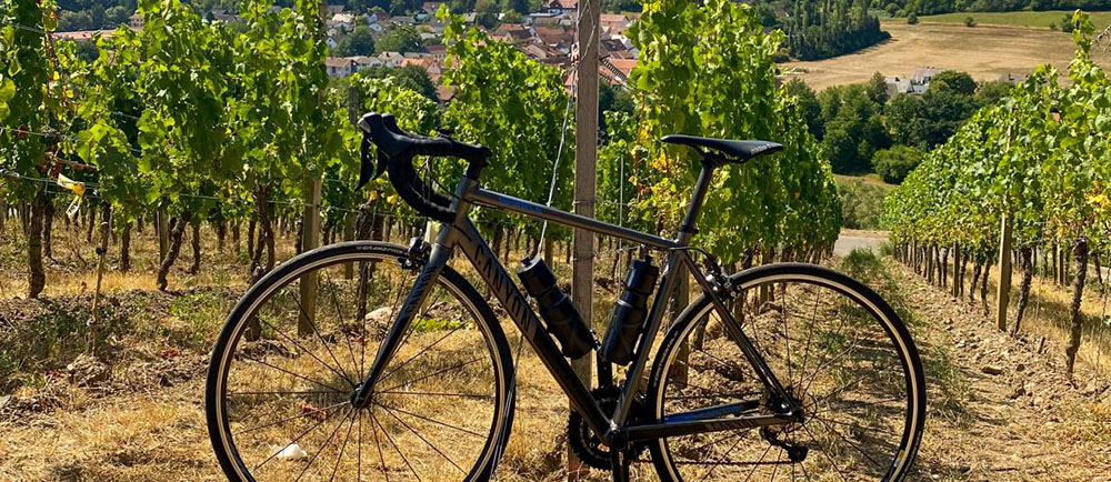Bici e vino: pedalare tra le vigne in Toscana