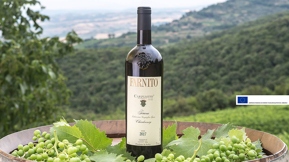 From Dogajolo Bianco to Farnito: let's talk about Chardonnay