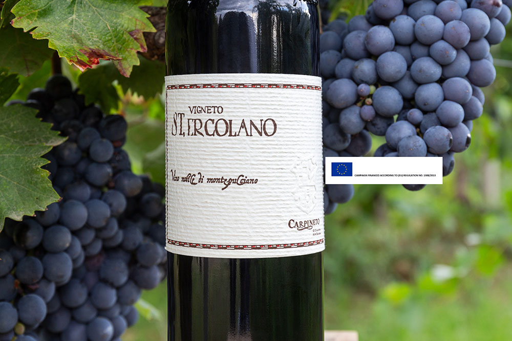 Note di degustazione: Appodiato Vino Nobile di Montepulciano Docg – Cru di St. Ercolano
