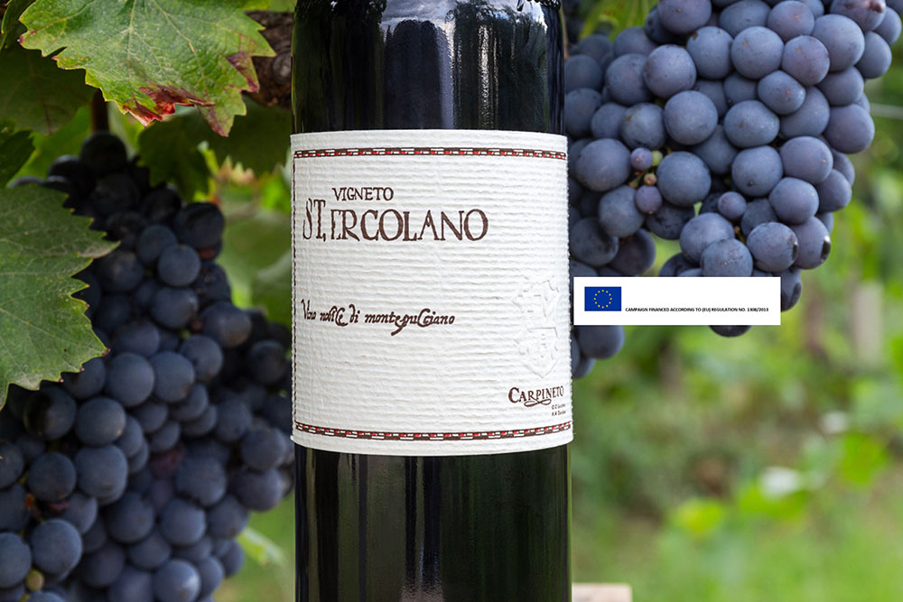 Note di degustazione: Appodiato Vino Nobile di Montepulciano Docg - Cru di St. Ercolano