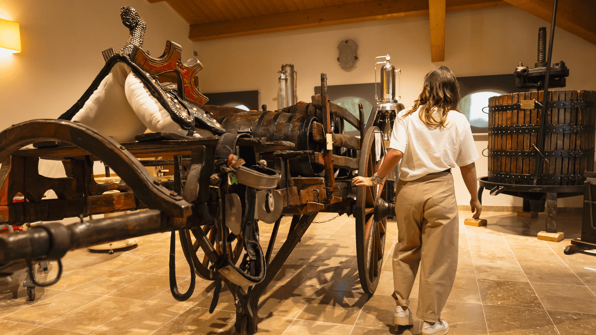 Immagine sezione 1559