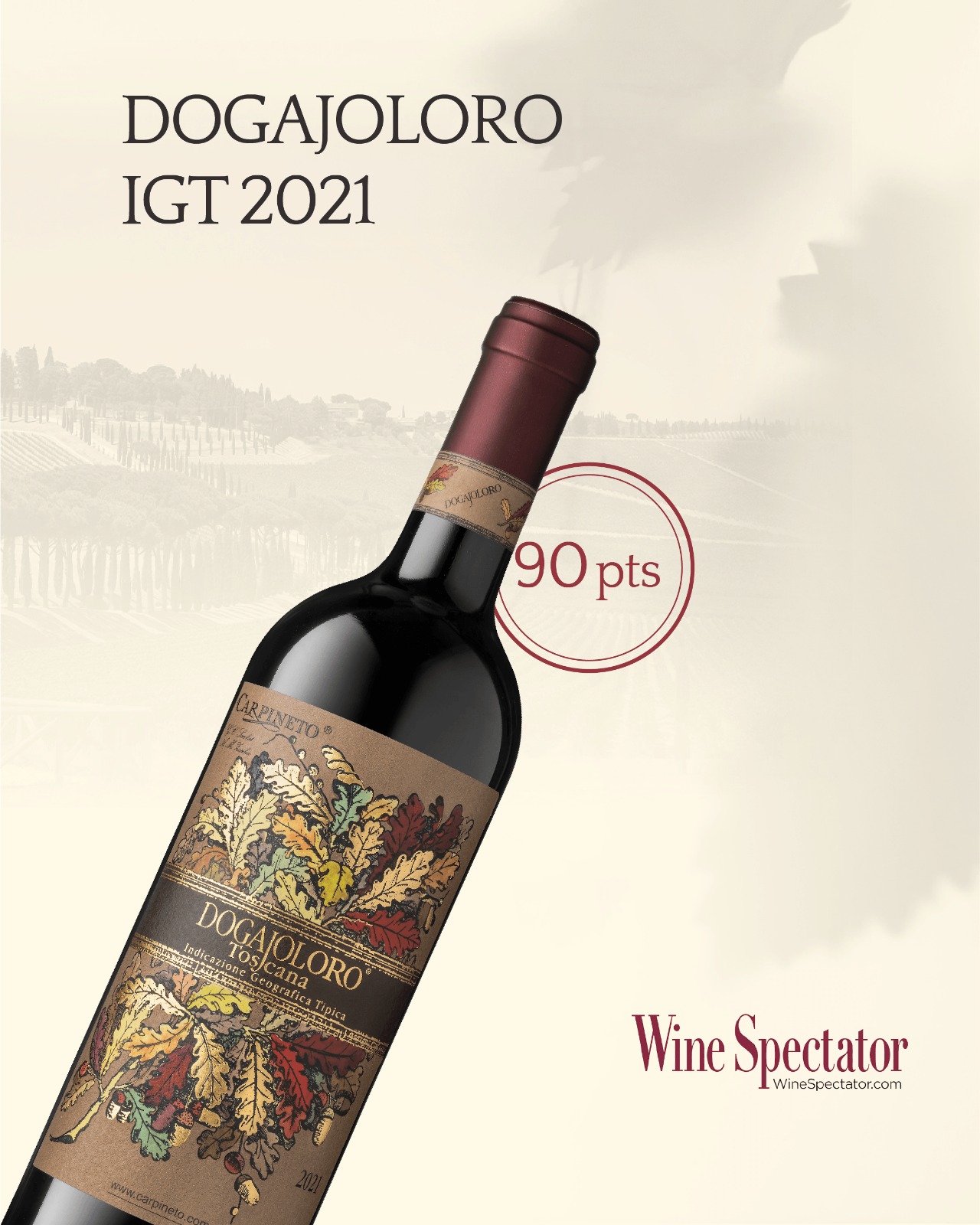 Decanter - Dogajolo Rosso I.G.T. Top Value Italian reds - May 2020